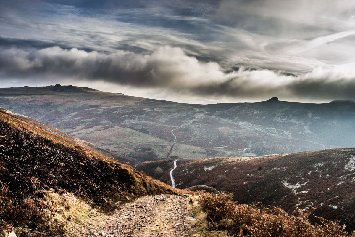 Wooler Trail Races